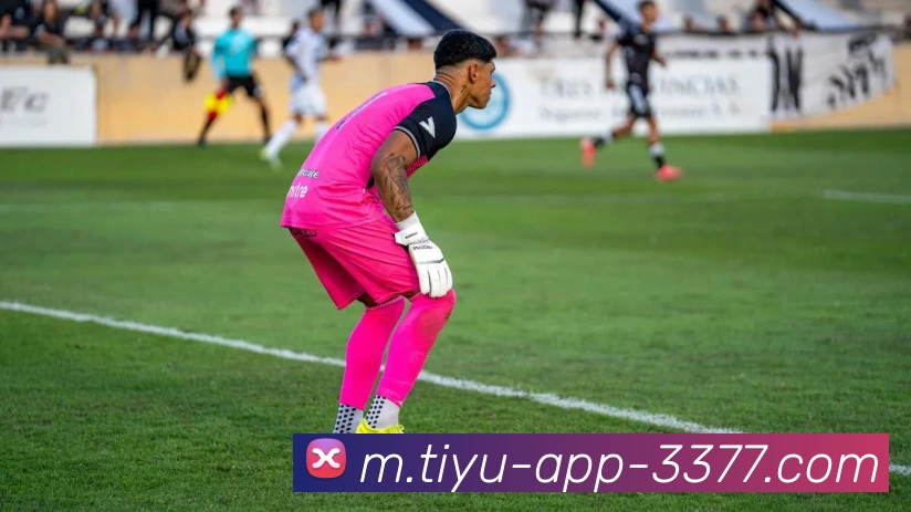 App Interface Preview