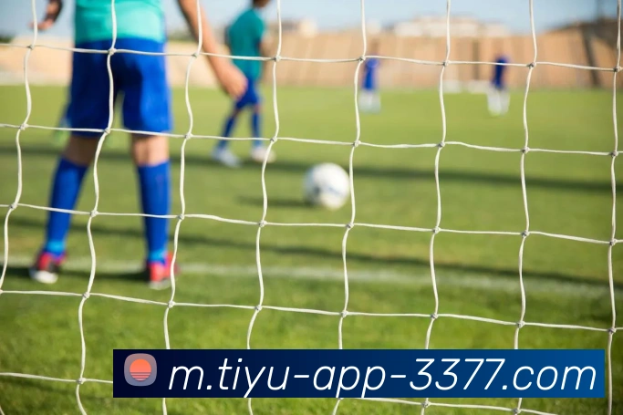 3377体育APP 封面图